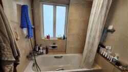 Emerald Garden (D1), Condominium #452872431